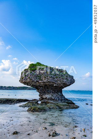 沖縄の景色 沖縄の景色 49852037