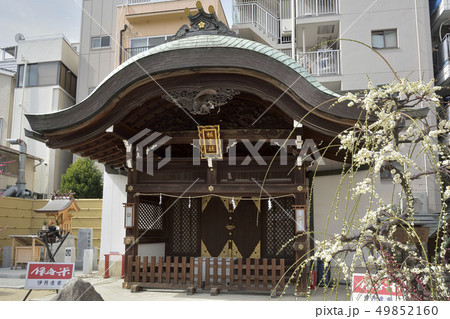 祖霊社　梅　大阪天満宮 49852160