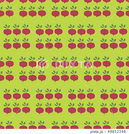 Turnip Field Seamless Vector Pattern. Vegetable background. Turnip Field Seamless Vector Pattern. Vegetable background. 49852346