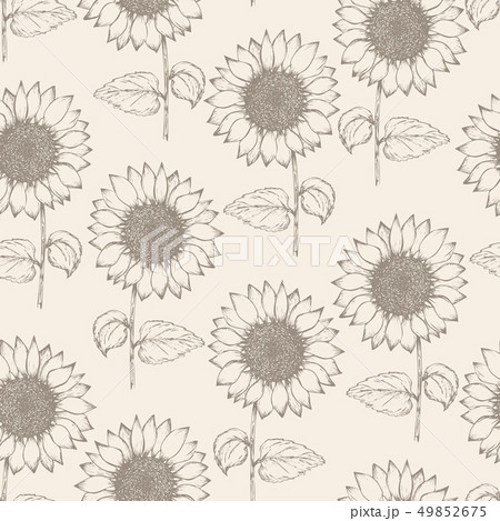 Vintage light beige pattern with sunflowers 49852675