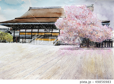 京都御所 桜 白砂 水彩画 スケッチ 京都観光 クローズアップのイラスト素材