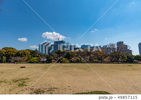 皇居東御苑 49857115