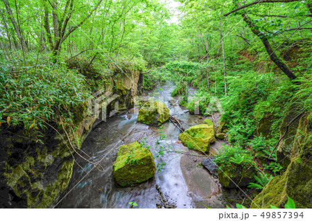 北海道 樽前ガロー 49857394