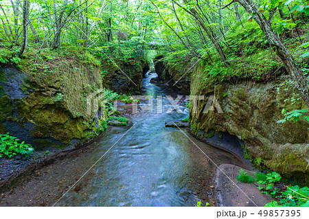 北海道 樽前ガロー 49857395