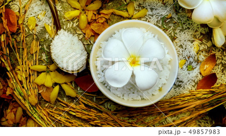 Thai rice grain characteristics	 49857983