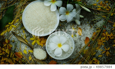 Thai rice grain characteristics	 49857984