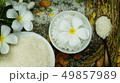 Thai rice grain characteristics	 49857989