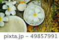 Thai rice grain characteristics	 49857991
