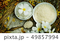 Thai rice grain characteristics	 49857994