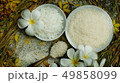Thai rice grain characteristics	 49858099