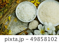 Thai rice grain characteristics	 49858102