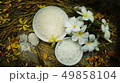 Thai rice grain characteristics	 49858104