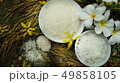 Thai rice grain characteristics	 49858105
