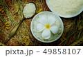 Thai rice grain characteristics	 49858107