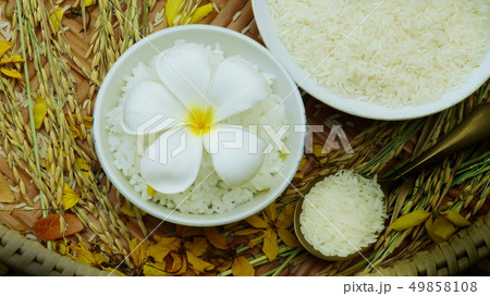 Thai rice grain characteristics	 49858108