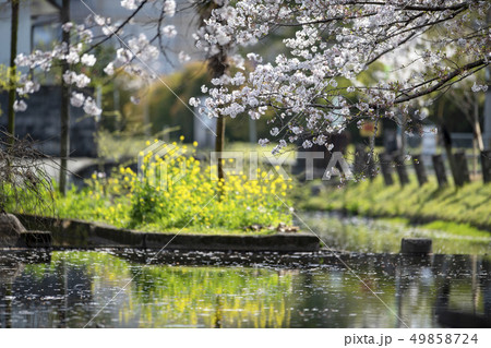 風景 49858724