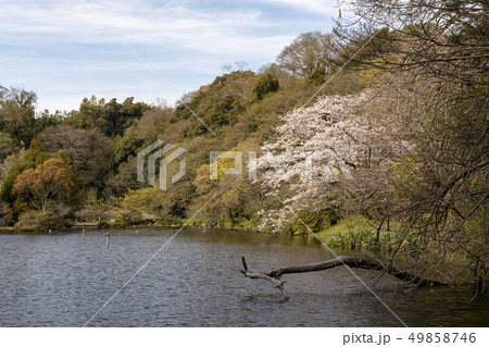 風景 49858746