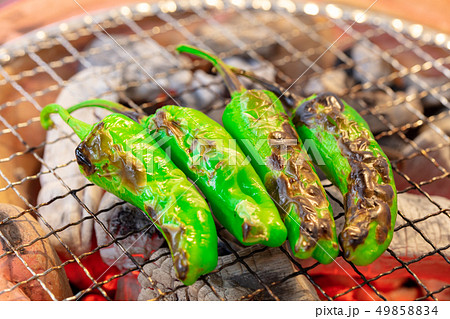 ししとうの炭火焼き（炭焼き・網焼き・七輪・一人・宅飲み・バーベキュー・BBQ・焼肉 49858834