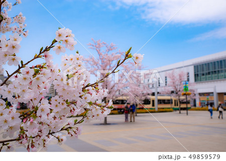 桜咲く富山駅南口駅前 2019.04 b-2 桜咲く富山駅南口駅前 2019.04 b-2 49859579