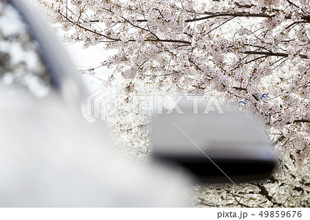 桜 自動車 韓国 49859676