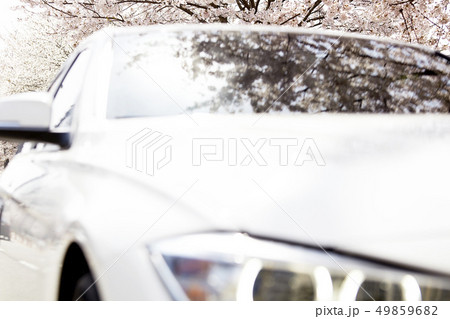 桜 自動車 韓国 49859682