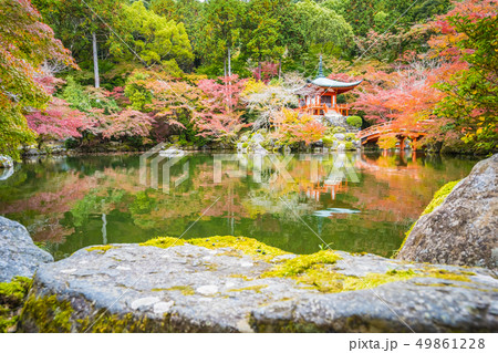 Beautiful Daigoji temple with colorful tree and leaf in autumn season Beautiful Daigoji temple with colorful tree and leaf in autumn season 49861228