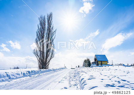 Beautiful outdoor nature landscape with tree of ken and mary in biei area Beautiful outdoor nature landscape with tree of ken and mary in biei area 49862125