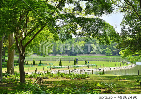 茨城県つくば市 洞峰公園 茨城県つくば市 洞峰公園 49862490