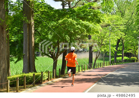 茨城県つくば市 洞峰公園 茨城県つくば市 洞峰公園 49862495