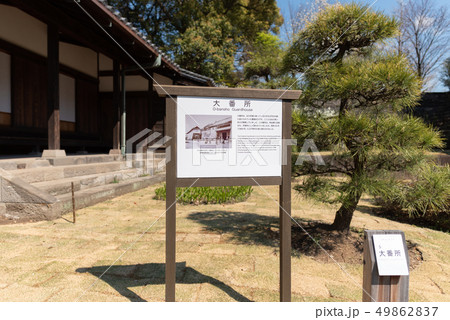 大番所 49862837