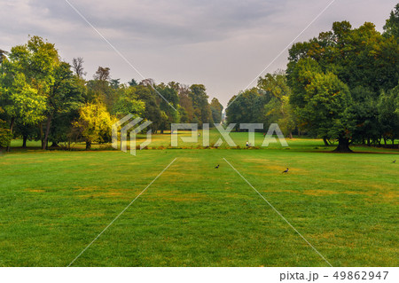 Monza park. Italy 49862947