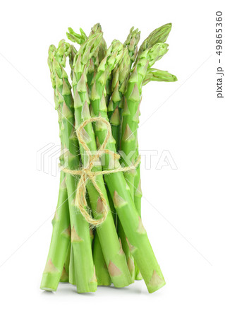 Fresh sprouts of asparagus isolated on white background Fresh sprouts of asparagus isolated on white background 49865360