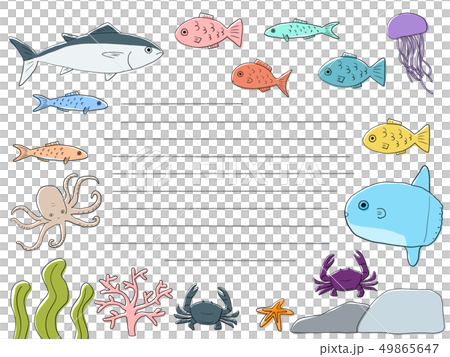 おさかな便箋　罫線素材 49865647