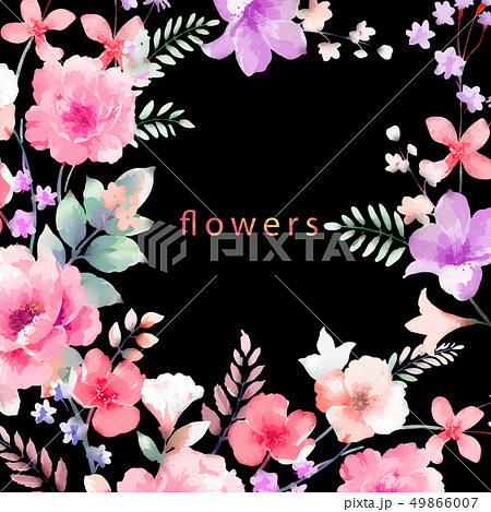 牡丹 ぼたん しゃくやく 49866007