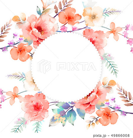 牡丹 ぼたん しゃくやく 49866008