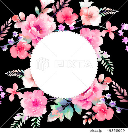 牡丹 ぼたん しゃくやくのイラスト素材