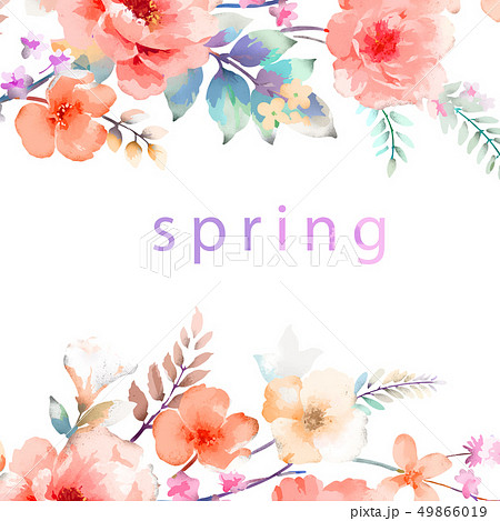 牡丹 ぼたん しゃくやく 49866019