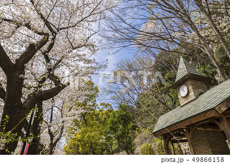 神田川桜並木の風景 江戸川公園の休憩所の写真素材