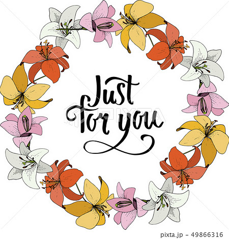 Vector Lily botanical flower. Wild spring leaf wildflower isolated. Engraved ink art. Frame border Vector Lily botanical flower. Wild spring leaf wildflower isolated. Engraved ink art. Frame border 49866316