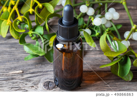 A bottle of mistletoe tincture with fresh plant 49866863