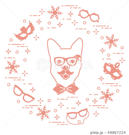 Muzzle of dog in carnival costume, masks, 49867224