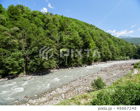 Fast mountain river with thick green forest Fast mountain river with thick green forest 49867248