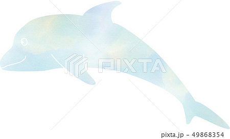 イルカ 横向きのイラスト素材