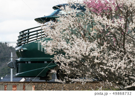 紅白梅と瑞風2 49868732