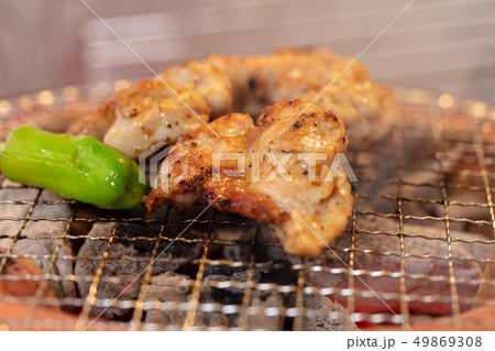鳥肉の炭火焼き（炭焼き・網焼き・七輪・一人・宅飲み・バーベキュー・BBQ・焼肉 49869308