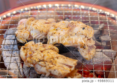 鳥肉の炭火焼き（炭焼き・網焼き・七輪・一人・宅飲み・バーベキュー・BBQ・焼肉 49869311