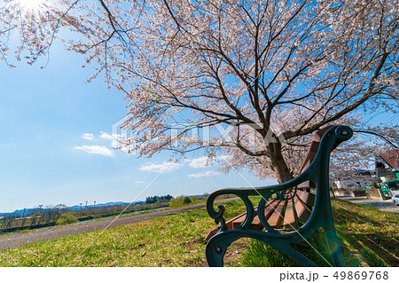 青空と一目千本桜　宮城大河原 49869768