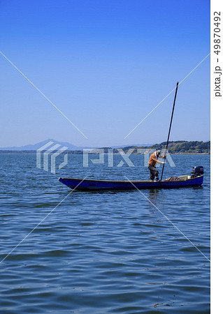 涸沼のシジミ漁　 49870492