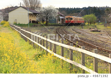 小湊鐵道「春・早朝の上総鶴舞駅」 小湊鐵道「春・早朝の上総鶴舞駅」 49871392