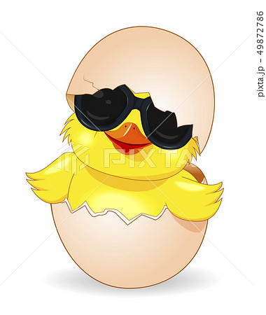 Cute chicken in black sunglasses 49872786